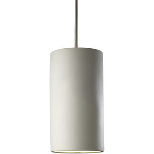 Radiance Collection LED 7 inch Pewter Green with Brushed Nickel Pendant Ceiling Light
