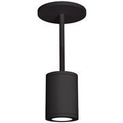 Outdoor Pendants / Chandeliers