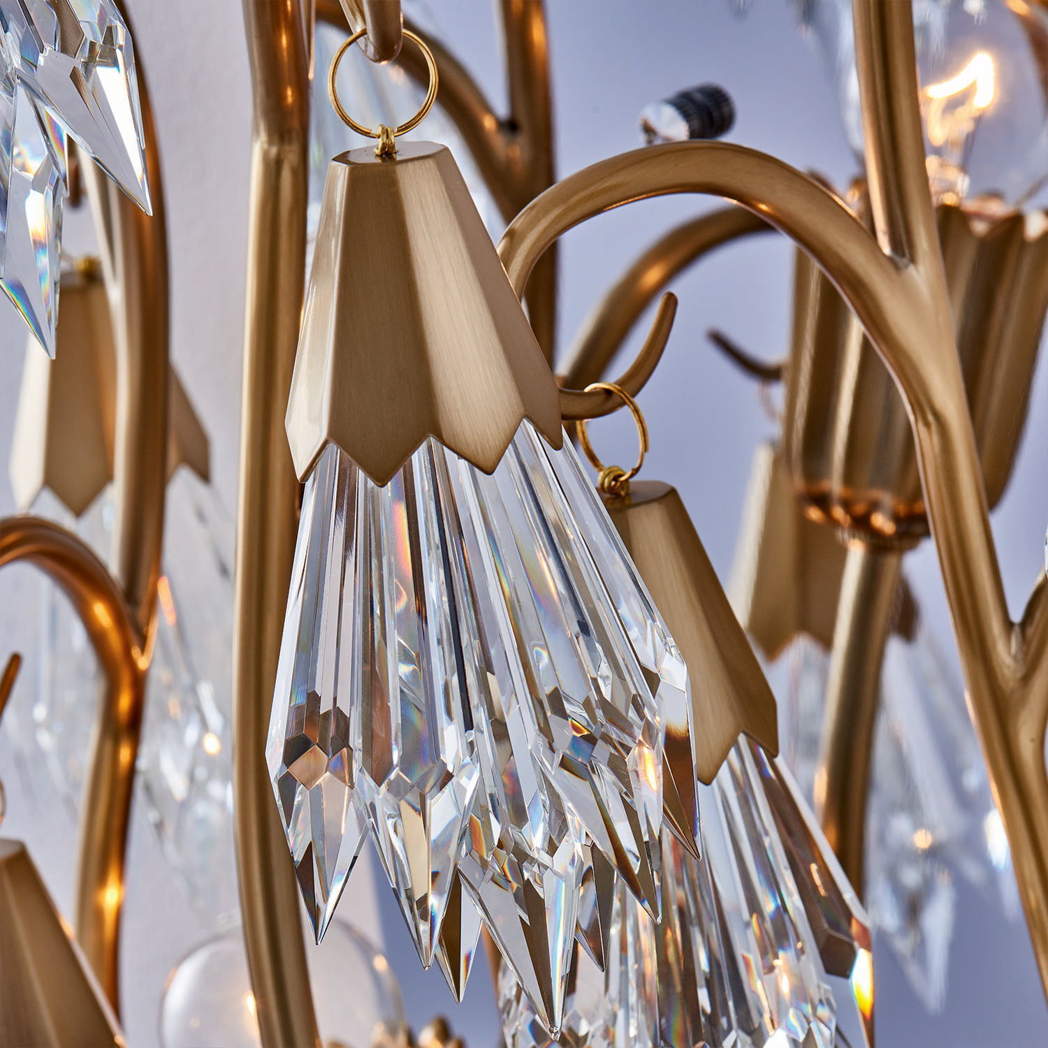 Tulipani Wall Sconce Wall Light in Winter Brass