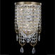 Vezzo 2 Light 10 inch Winter Brass Pendant Ceiling Light in Firenze Clear