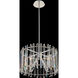 Viano 4 Light 17 inch Polished Chrome Pendant Ceiling Light in Firenze Clear